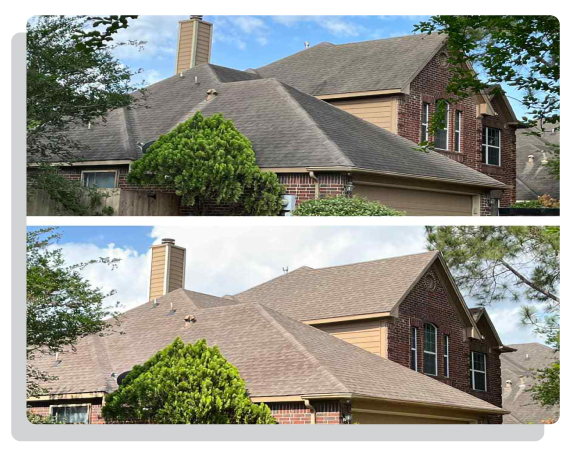 Roof Cleaning Soft Wash